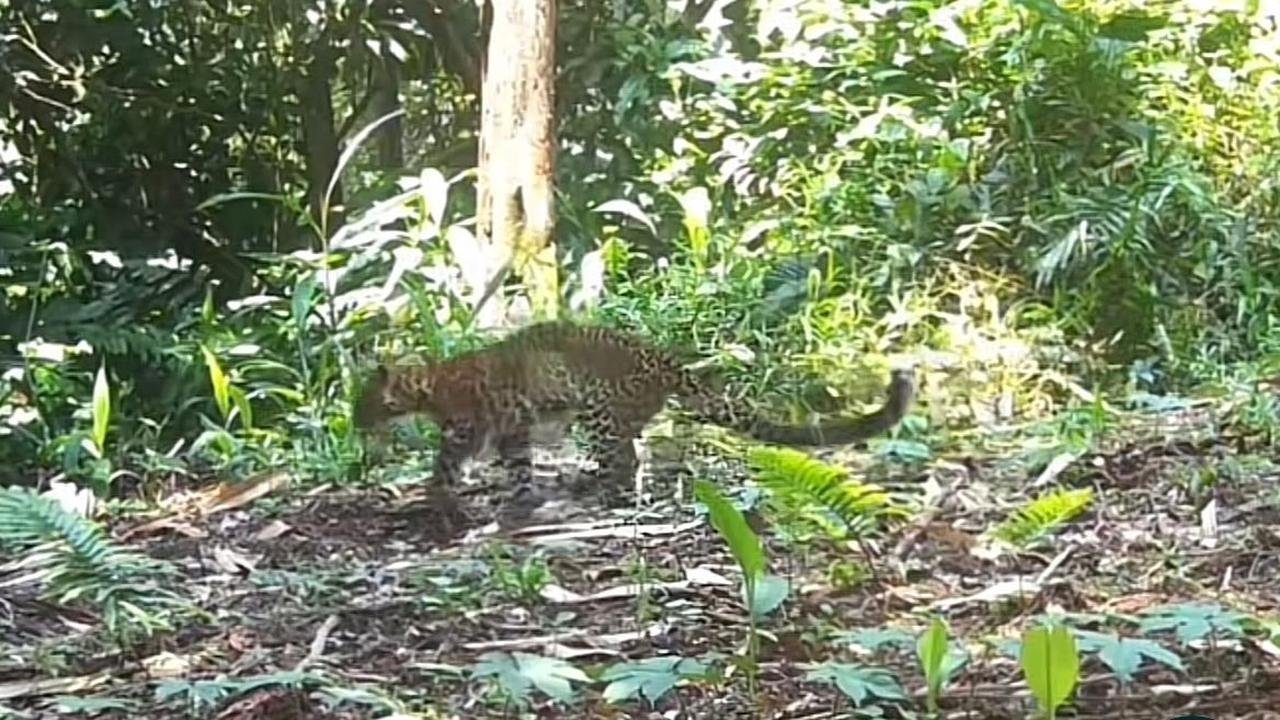 066248200_1769499664-WhatsApp_Image_2026-01-27_at_14.37.19