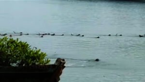 Screenshot_20260103_194012