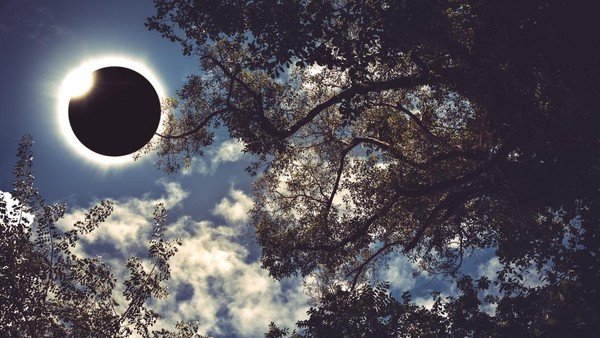 ilustrasi-gerhana-matahari-cincin-1770175124686_169