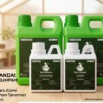 WhatsApp Image 2026-04-18 at 21.36.01